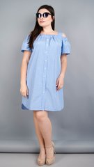 Gražus suknelių marškinėlius plius dydis. Mėlynasis narvas.485131359 485131359 photo