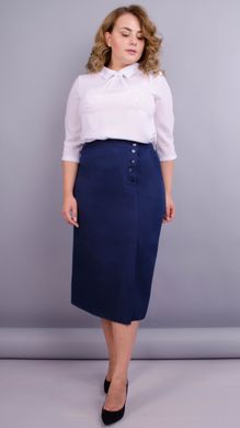 Biuro sijonas ir dydis. Mėlyna.485137849 485137849 photo