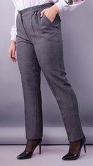 Pantalones de mujeres en un estilo clásico. Grey.485138221 485138221 photo
