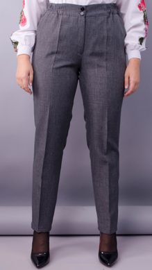 Pantalon féminin dans un style classique. Grey.485138221 485138221 photo