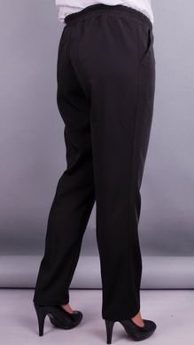 Pantalones de mujeres en un estilo clásico. Negro.485137778 485137778 photo