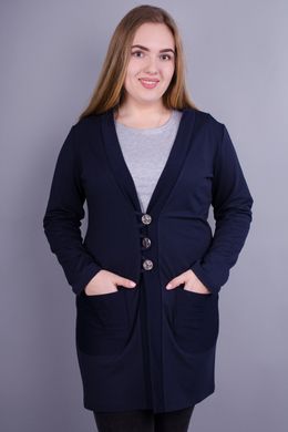 Stilinga moteriška pliuso dydžio megztinis. Mėlyna.485130854 485130854 photo