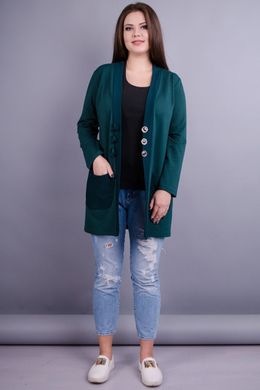 Stilinga moteriška pliuso dydžio megztinis. Emerald.485130903 485130903 photo