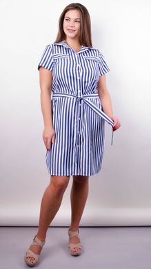 Plus -Size -Kleid. Blauer Streifen.485131571 485131571 photo