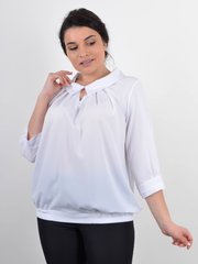 חולצת נשים בגדלים פלוס. לבן .485141688 485141688 צילום