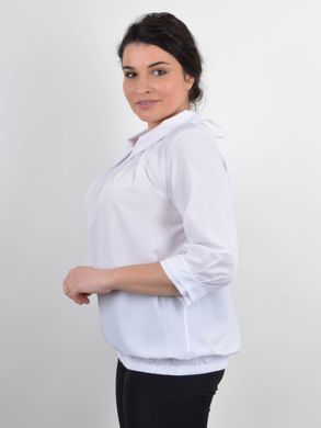 Women's blouse for Plus sizes. White.485141688 485141688 photo