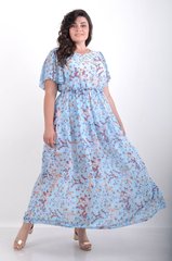 Everyday summer chiffon dress. Blue bell.4952782985860 4952782985860 photo
