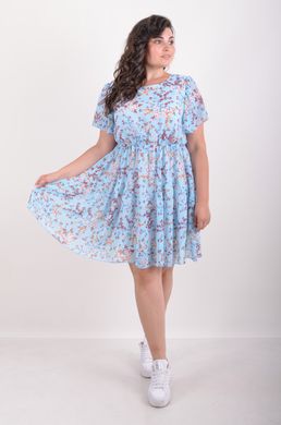 Ein alltägliches Sommerkleid mit einem Chiffon. Blue Bell.4952783085052 4952783085052 photo