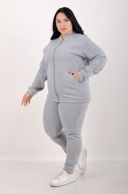 Sports costume on fleece pants with a cuff. Grey.495278340 495278340 photo